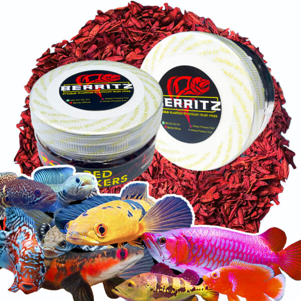 Premium BARU 2025 2 Red Seekers Premium